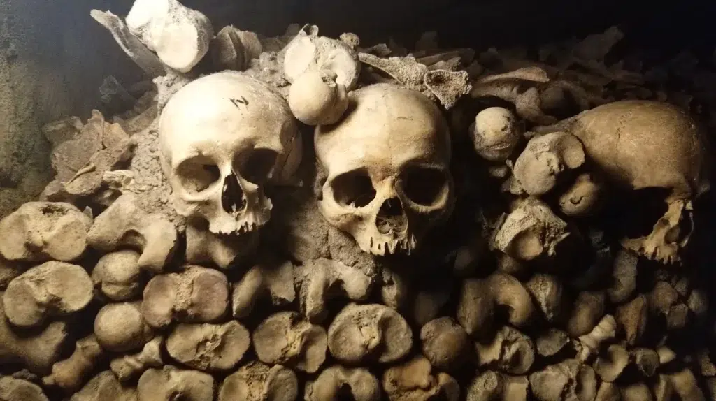 paris catacombs tour les frenchies