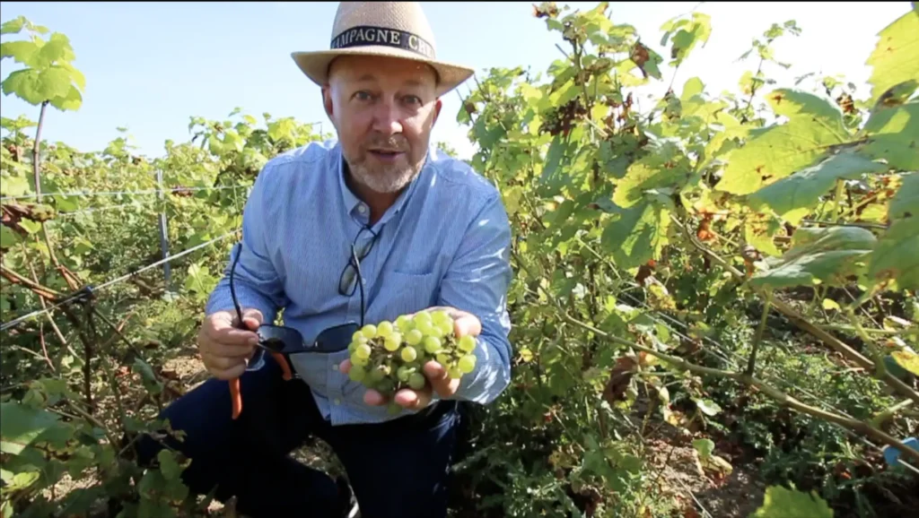 private-champagne-day-r-trip-from-paris-les-frenchies