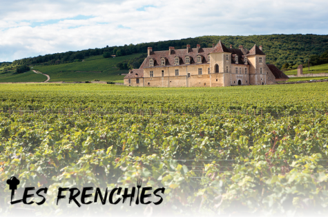 A Travel Guide to France’s Wine Regions: What to Taste and Where to Go