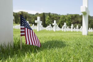 Fotolia 85275919 M lg