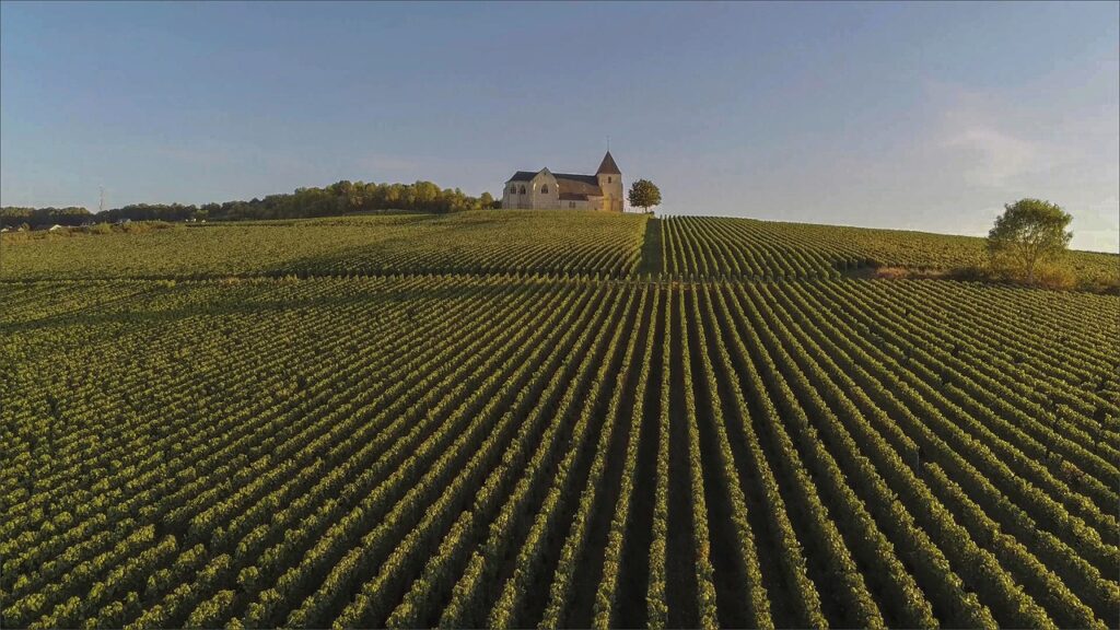 Day Trip to Champagne From Paris: The 6 Best Tours (2026) 4 Champagne Day Trip From Paris