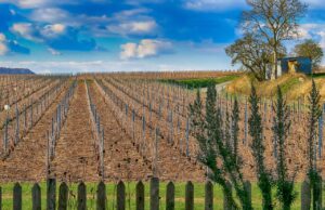 landscape 4941535 1280