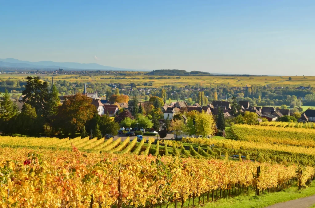 Day Trip to Champagne From Paris: The 6 Best Tours (2026) 1 Champagne region France