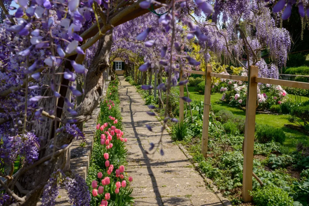 Monet's Gardens at Giverny in April