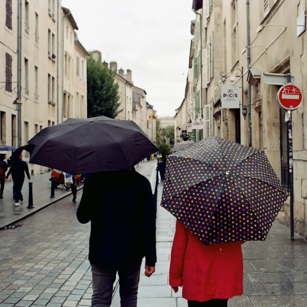 Paris in November: What to Do, Weather & Events 1 Paris in the rain