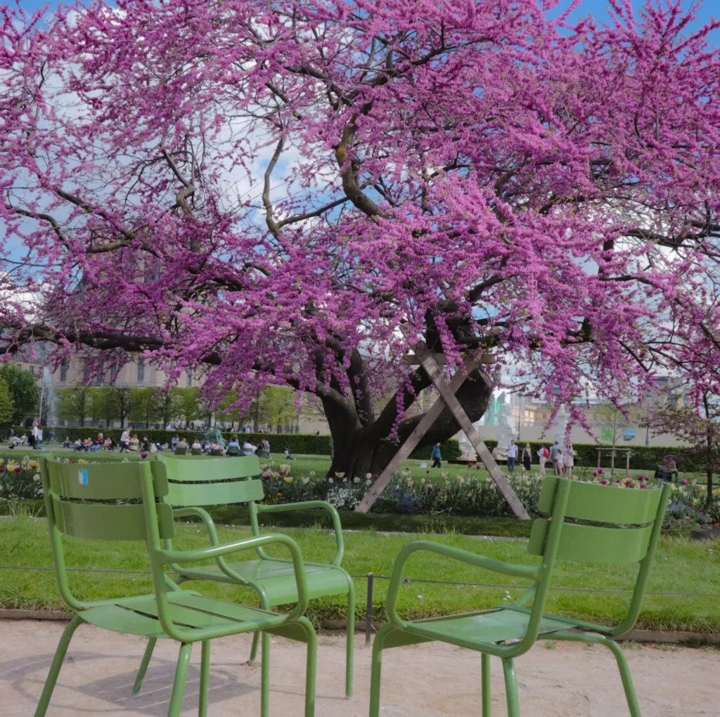 Paris in March: What to Do, Weather & Events 1 Paris park in spring