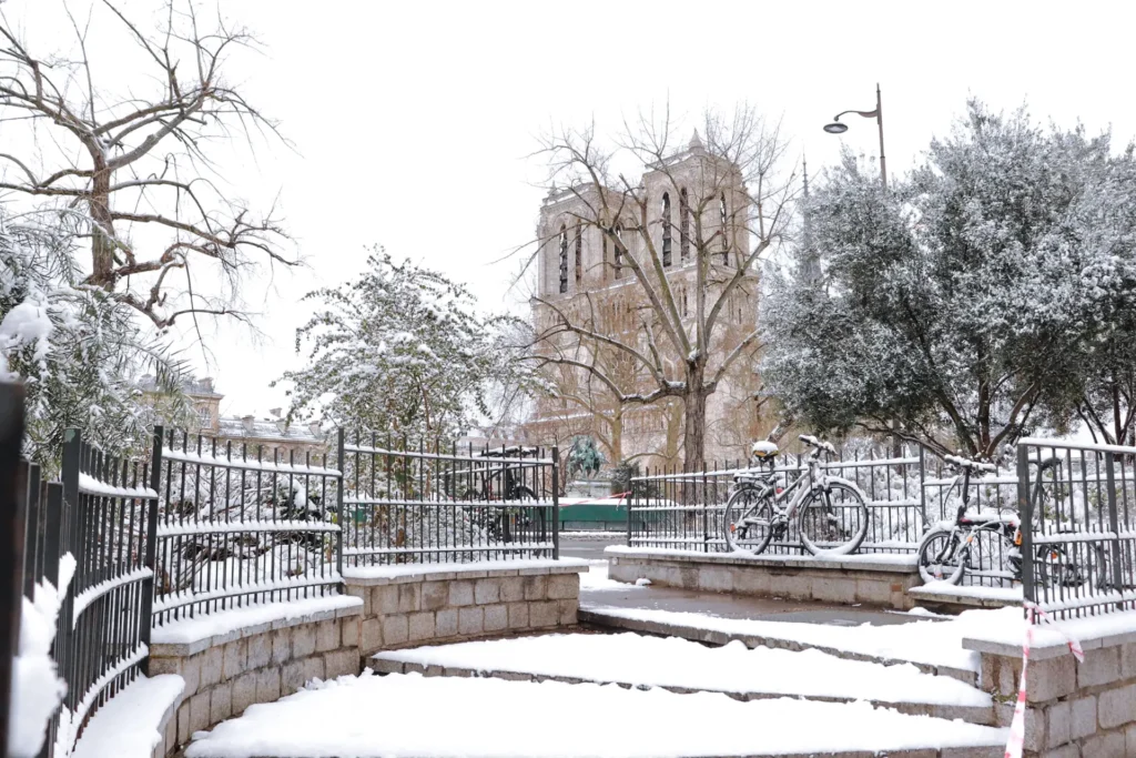 Notre Dame in winter